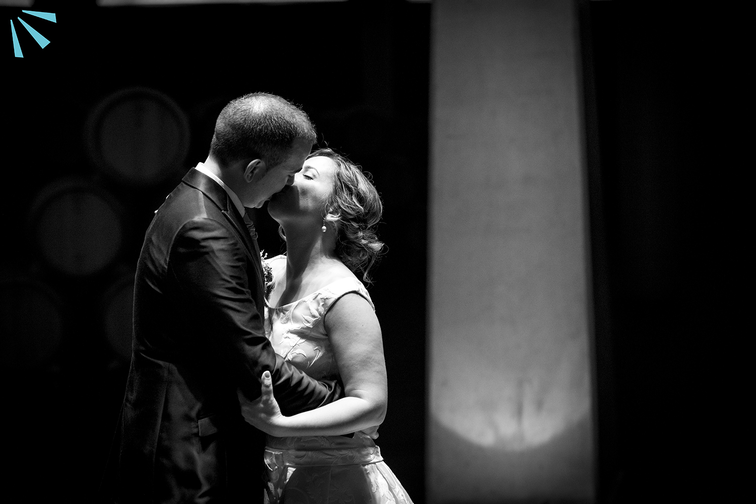 Fotógrafos de bodas en Logroño