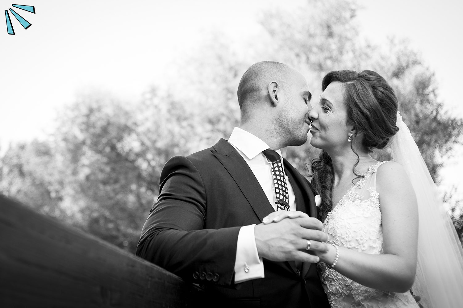 VIVA TU BODA