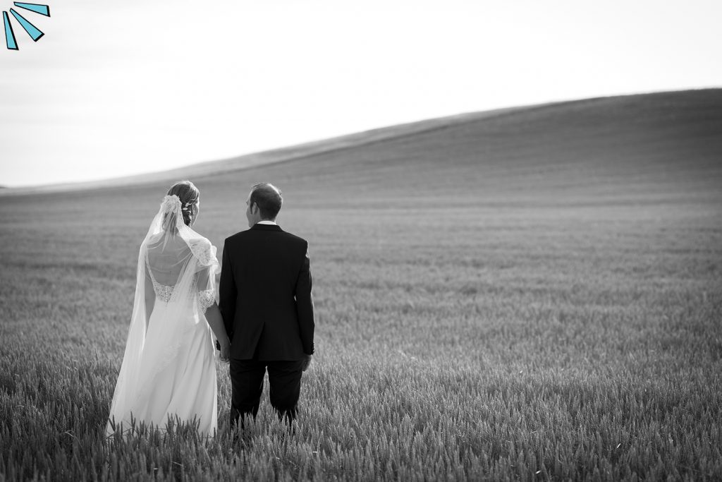 VIVA TU BODA