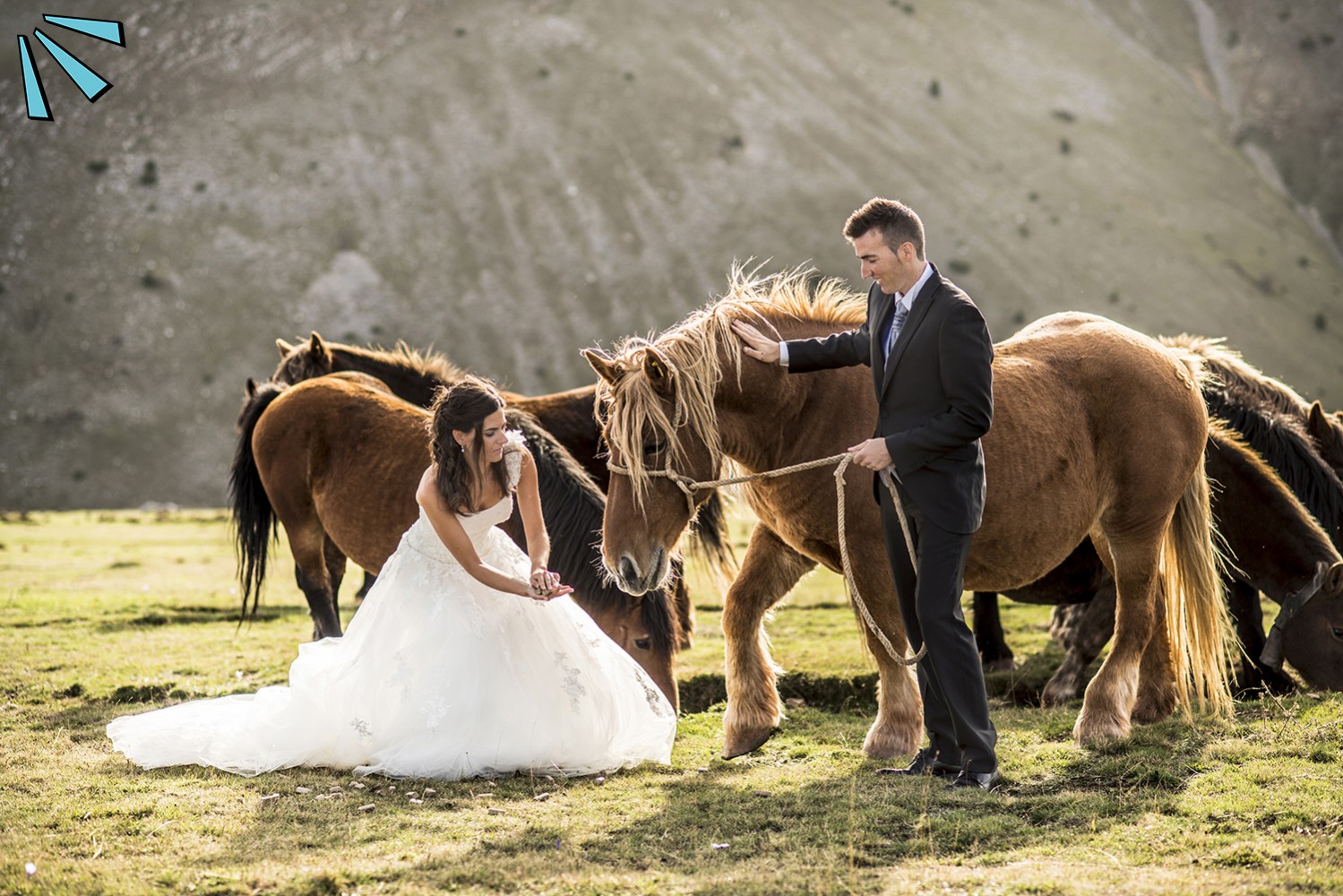 VIVA TU BODA