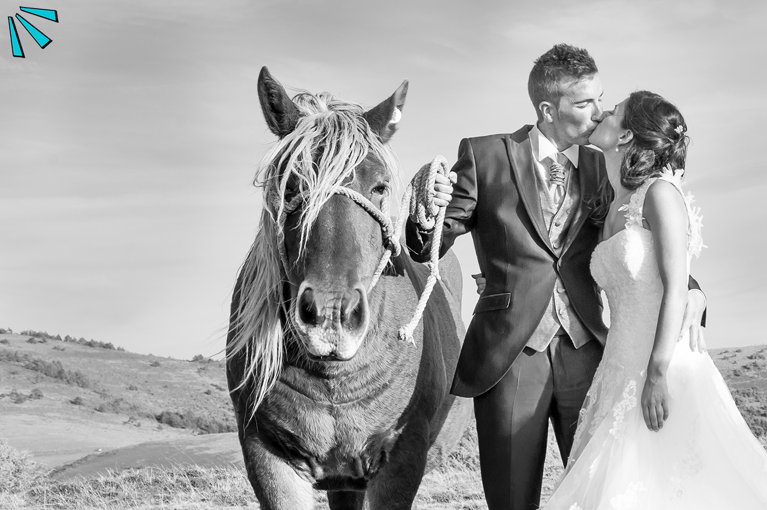VIVA TU BODA