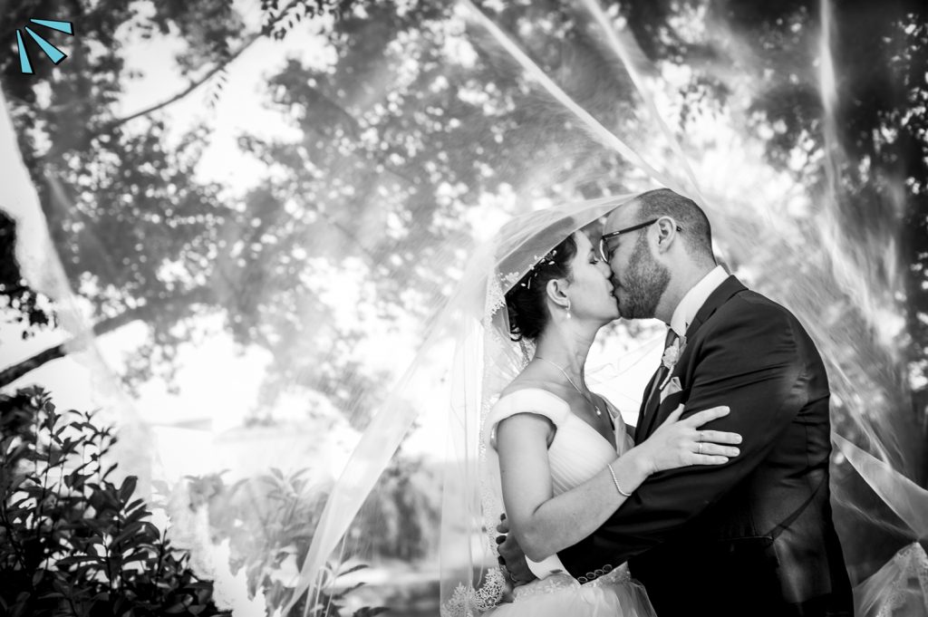 VIVA TU BODA