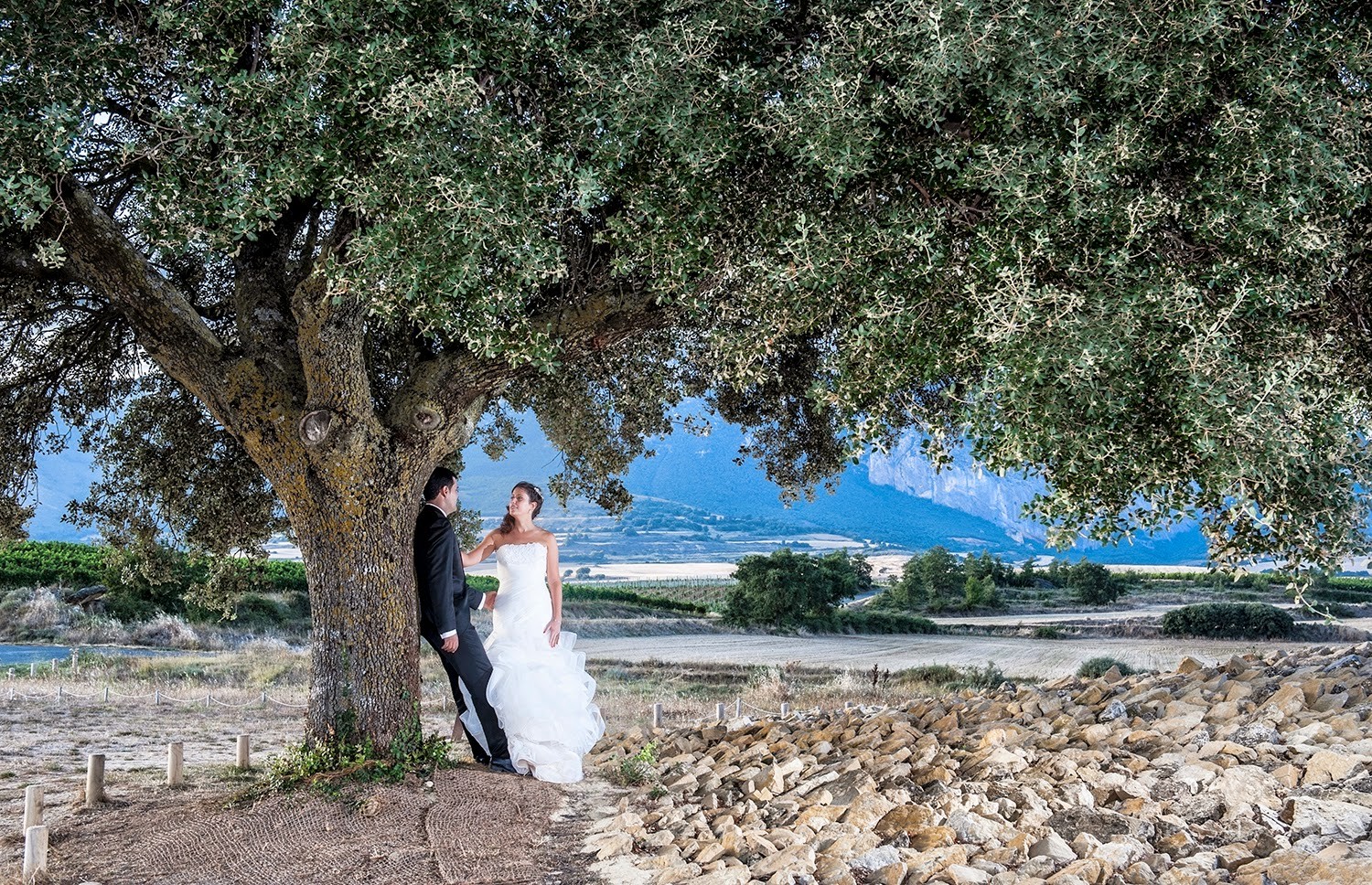 VIVA TU BODA