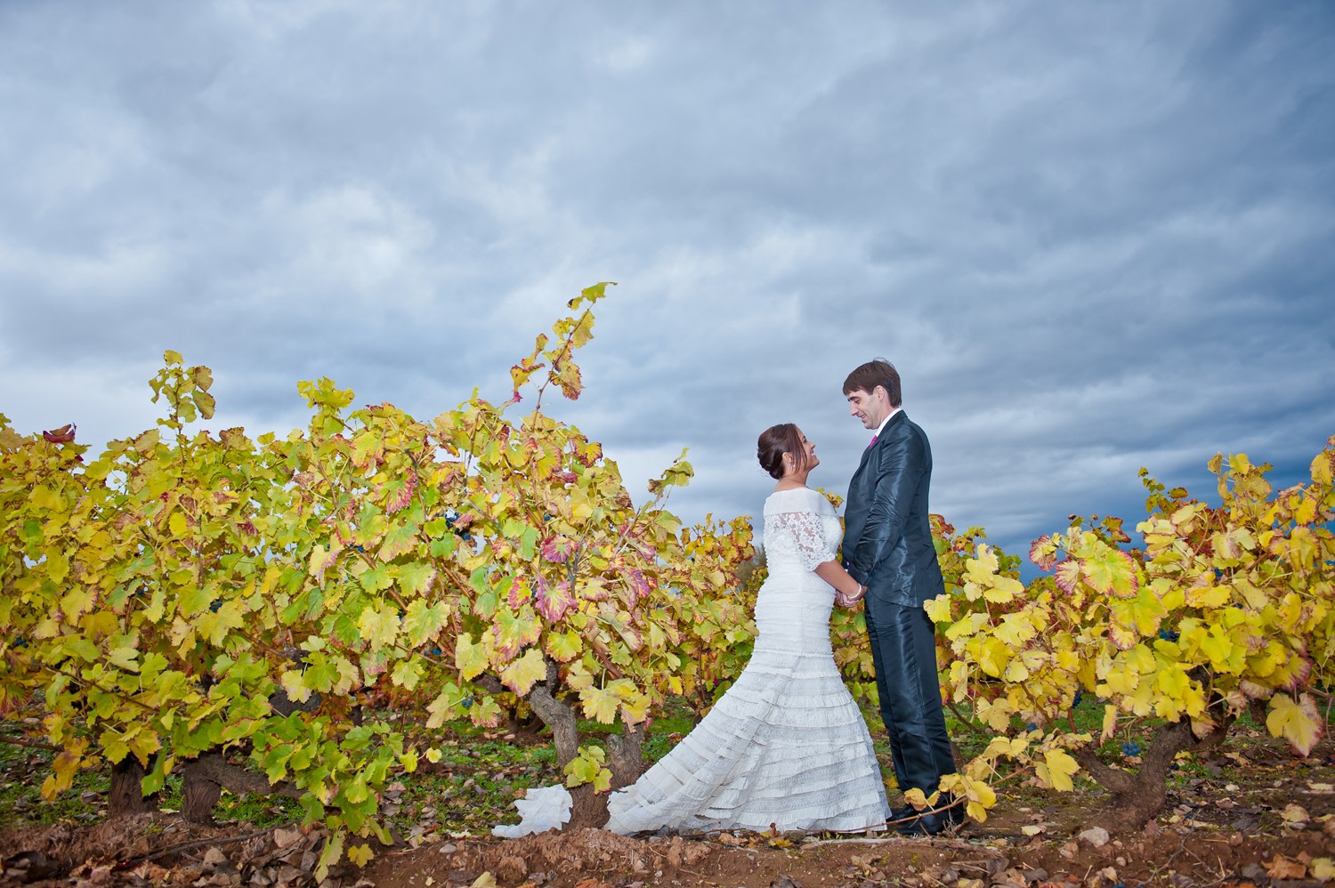 VIVA TU BODA