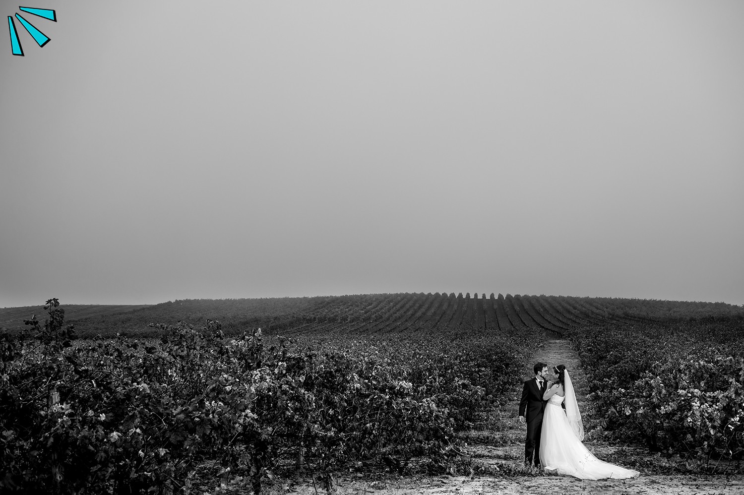 Fotografía de bodas