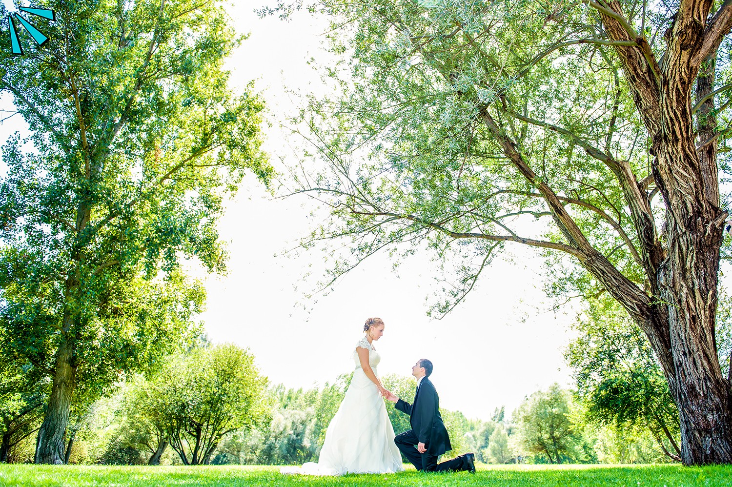 Fotógrafos de bodas en La Rioja