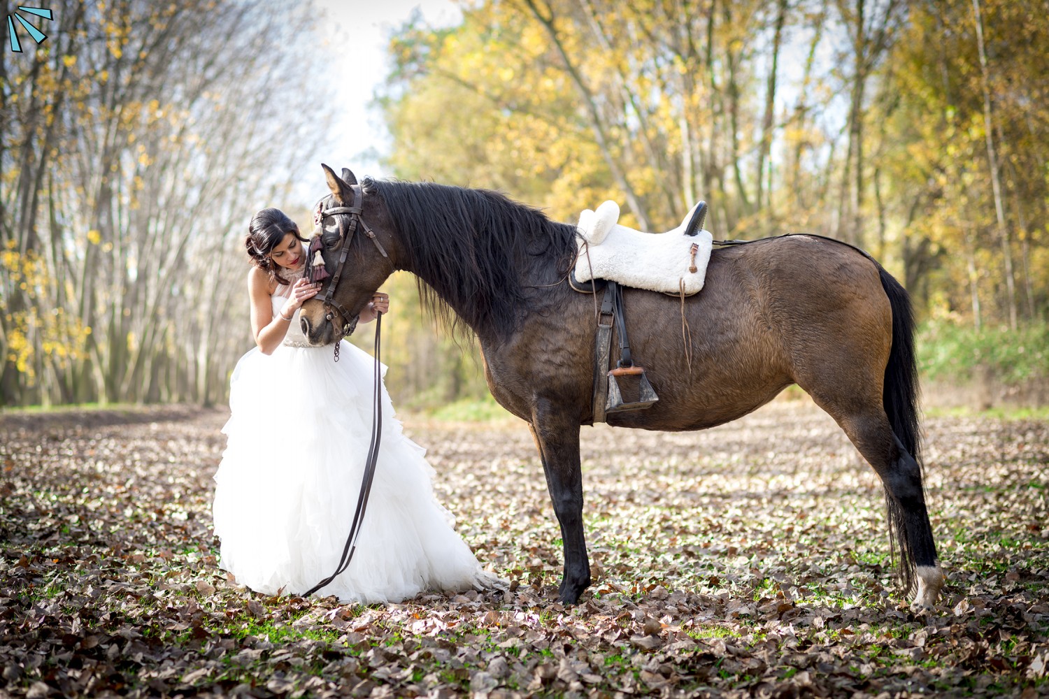 VIVA TU BODA