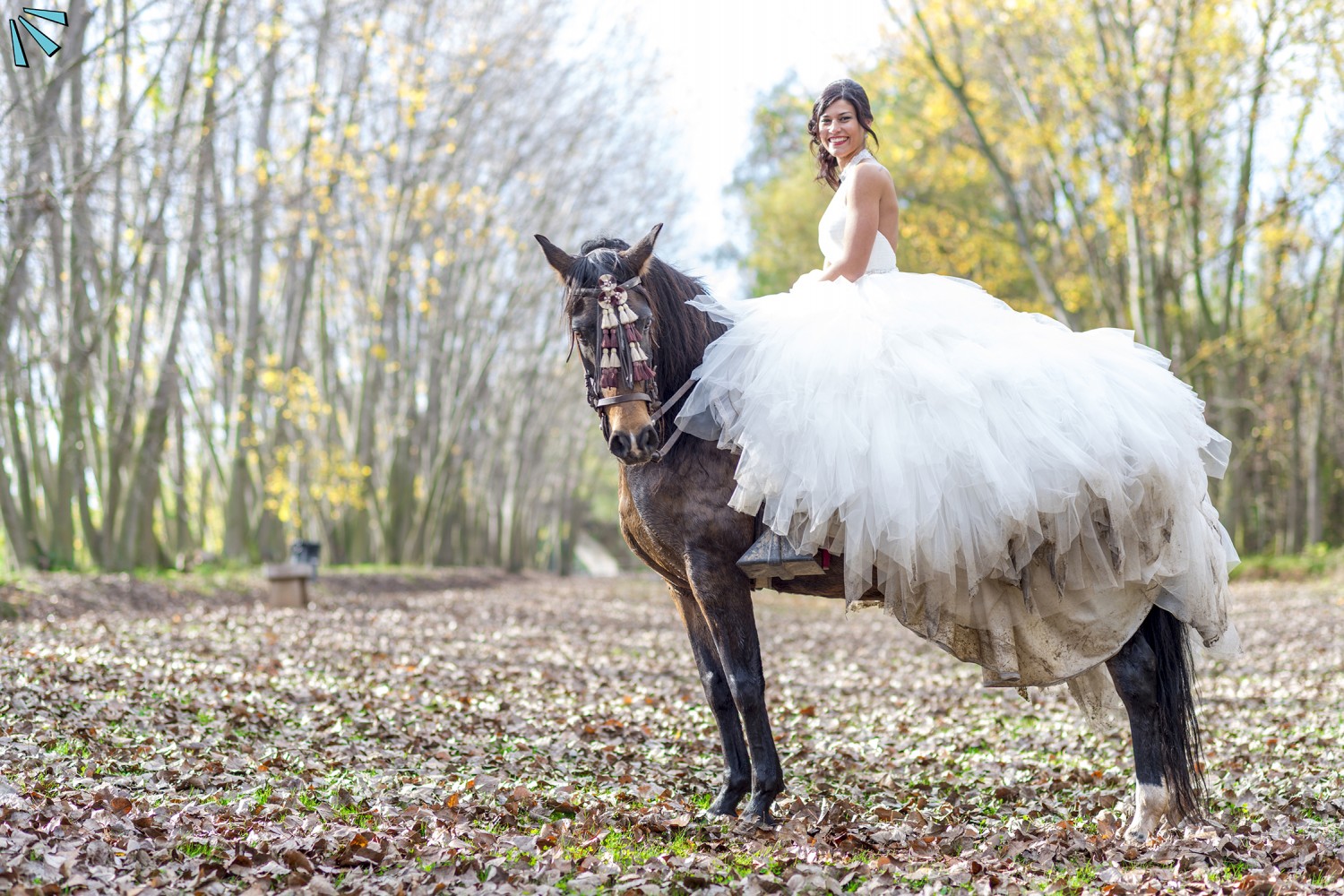 VIVA TU BODA