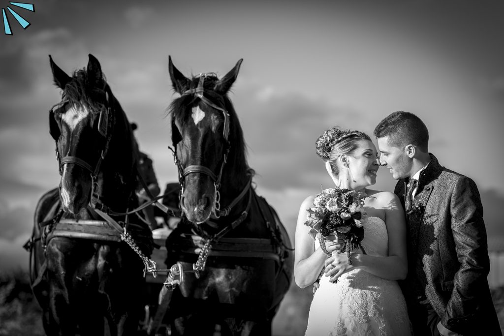 VIVA TU BODA