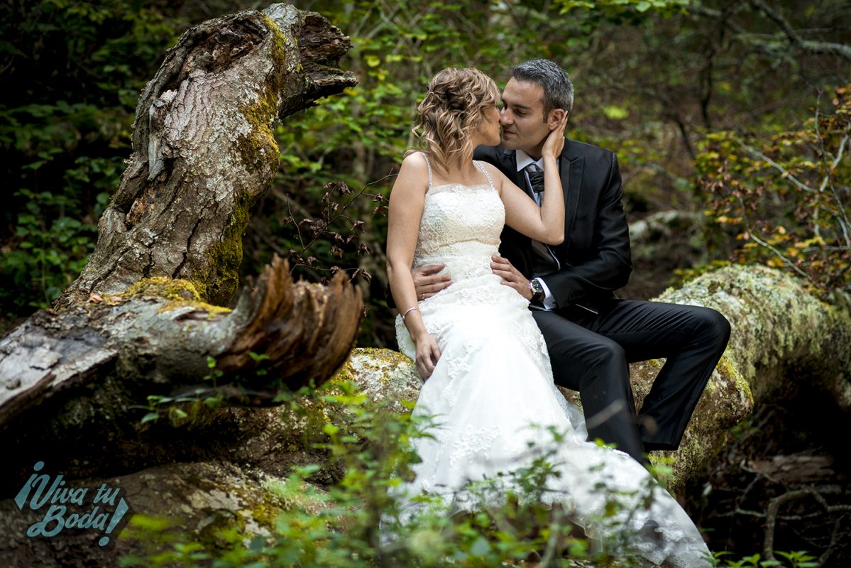 VIVA TU BODA