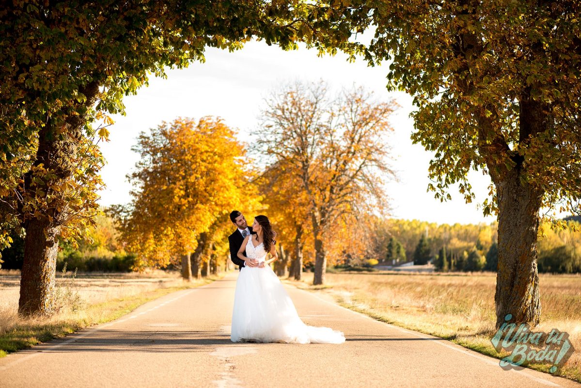 VIVA TU BODA