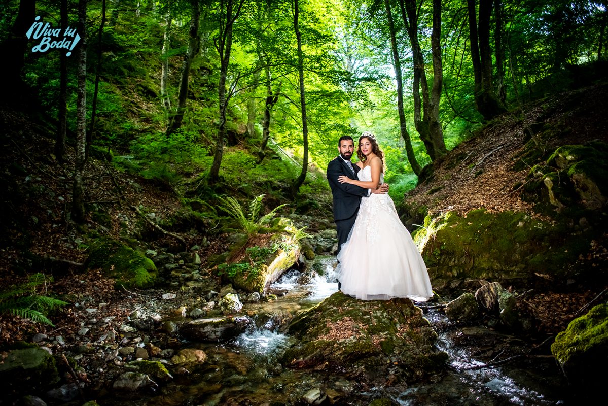 VIVA TU BODA