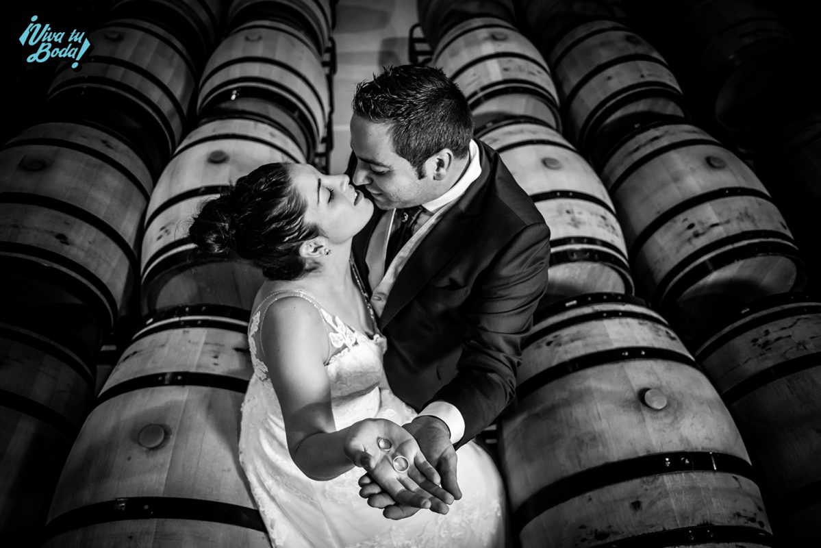 Fotógrafos de bodas en Logroño