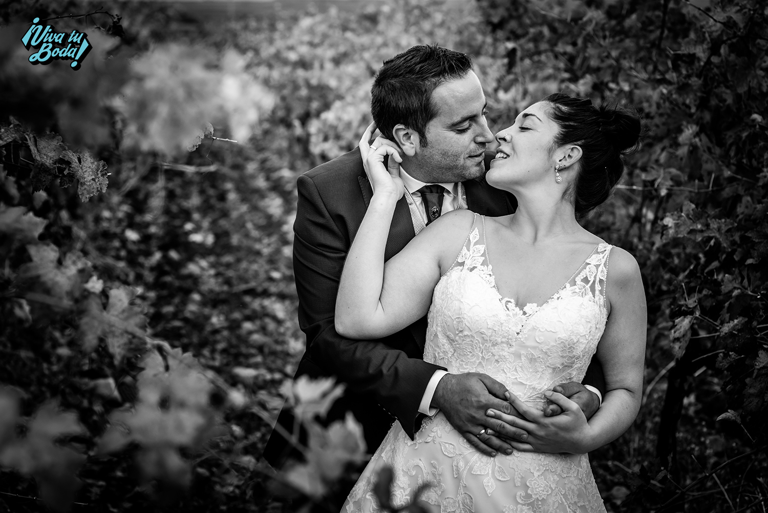 Fotógrafos de bodas en Logroño