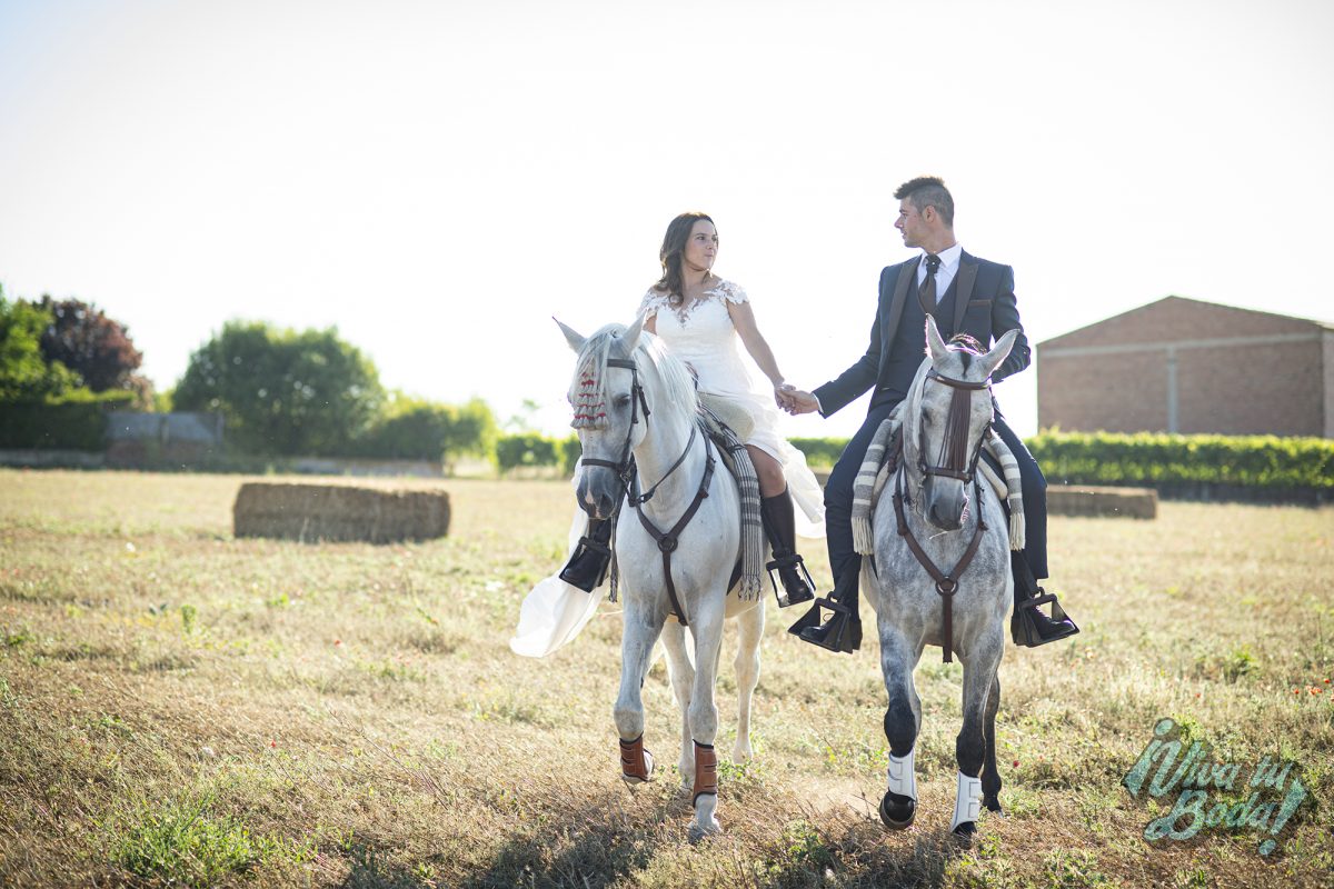 VIVA TU BODA