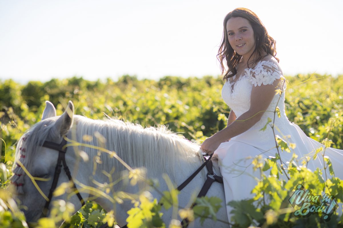 VIVA TU BODA