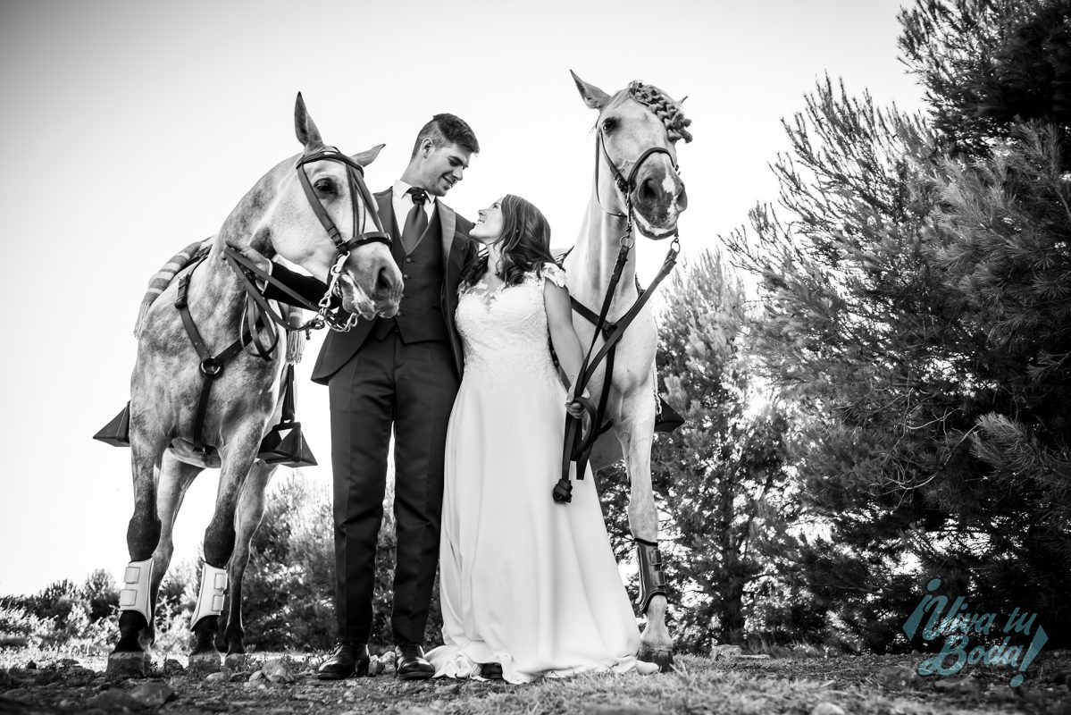 VIVA TU BODA
