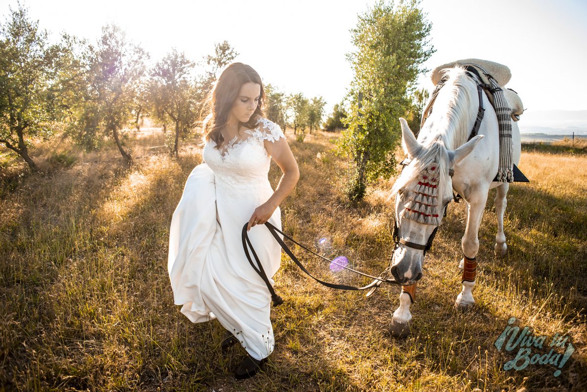 VIVA TU BODA