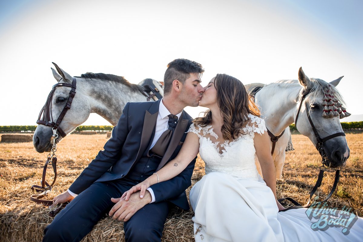 VIVA TU BODA