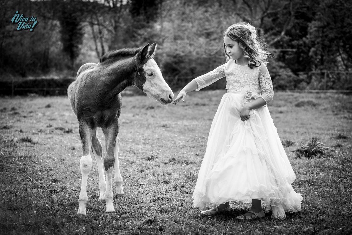 VIVA TU BODA