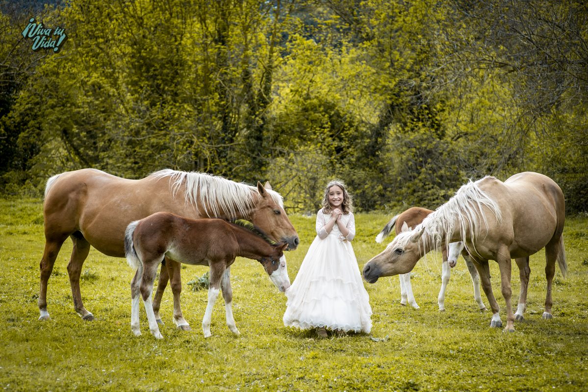 VIVA TU BODA