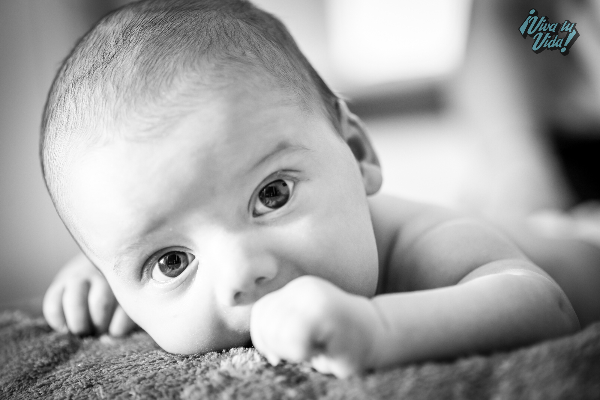 Fotos de bebes, recién nacido