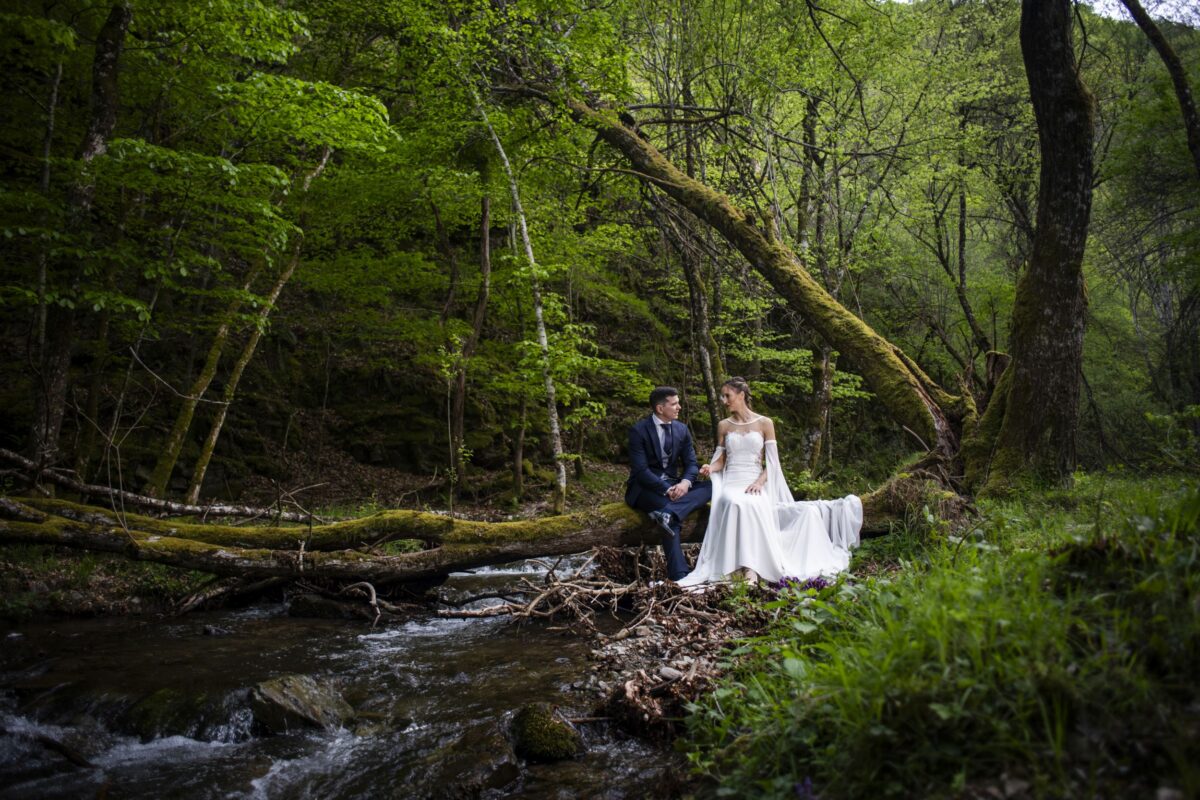 VIVA TU BODA