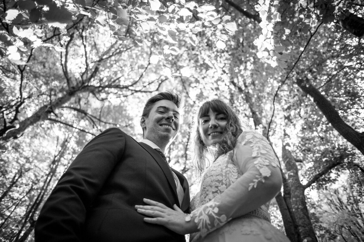 VIVA TU BODA
