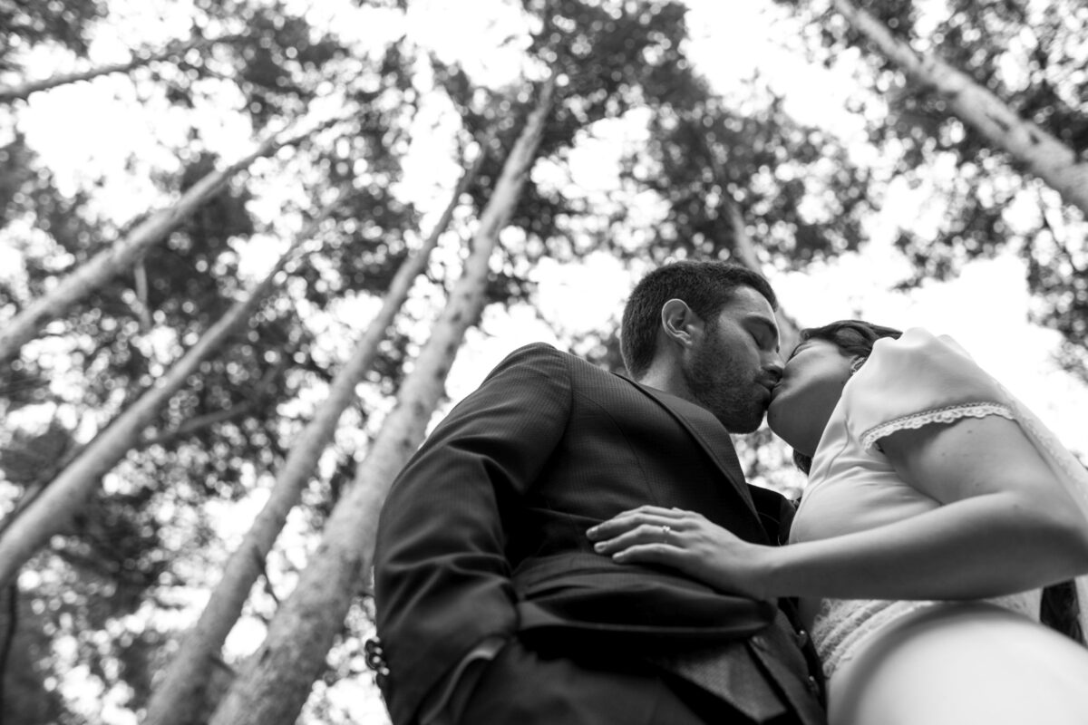 VIVA TU BODA