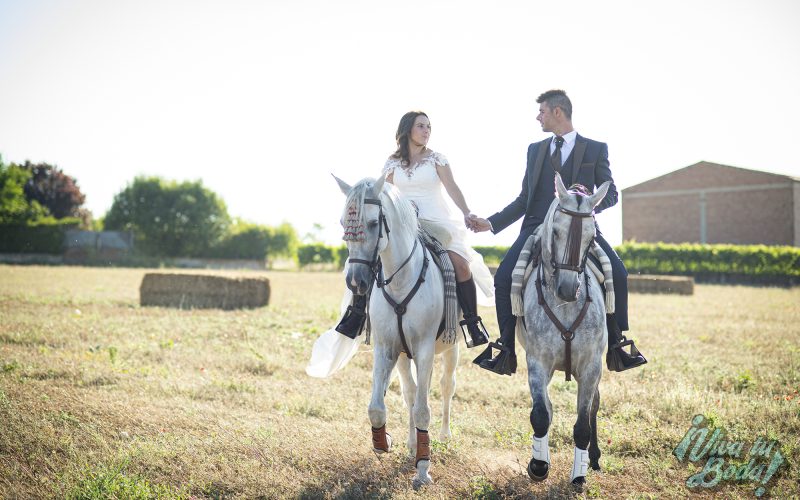 Fotógrafos de bodas en Logroño