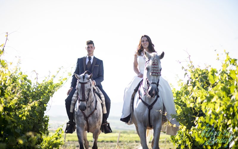 Fotógrafos de bodas en Logroño