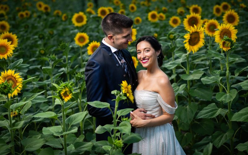 Fotógrafos de bodas en Logroño