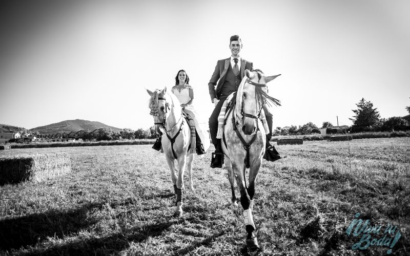 Fotógrafos de bodas en Logroño