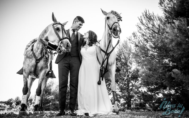 Fotógrafos de bodas en Logroño