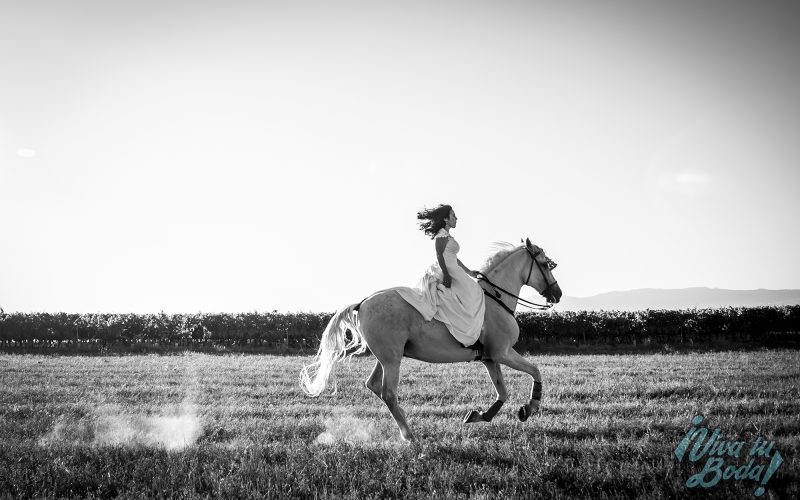 Fotógrafos de bodas en Logroño