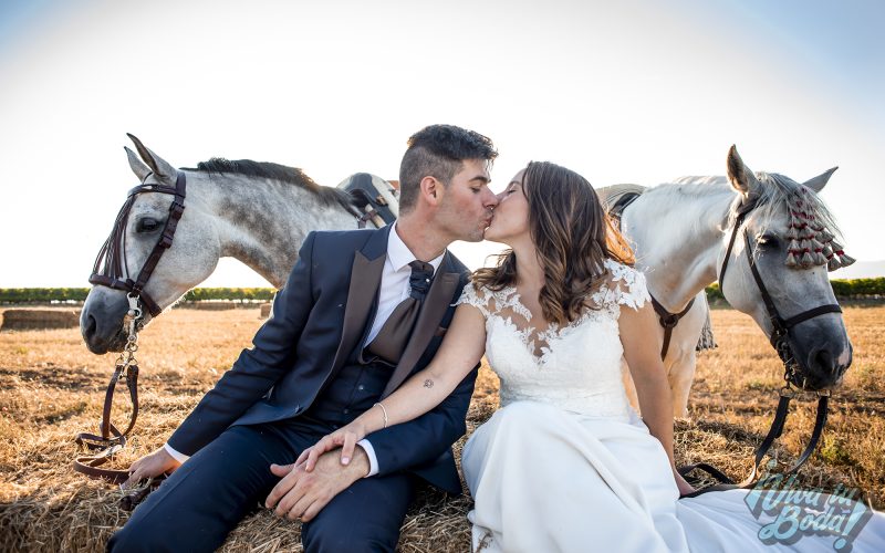 Fotógrafos de bodas en Logroño