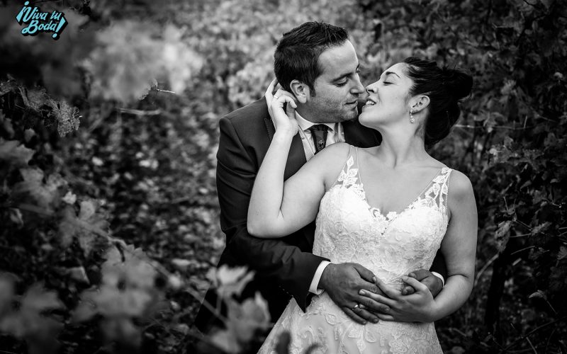 Fotógrafos de bodas en Logroño