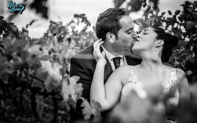 Fotógrafos de bodas en Logroño